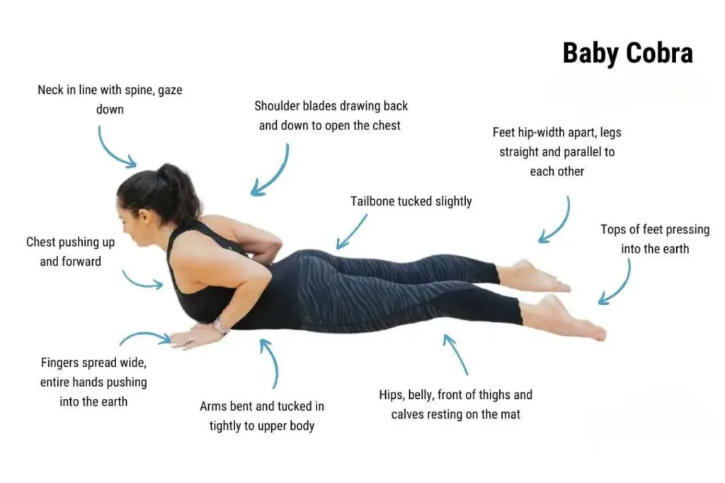 A girl instructor showing the steps on how to do the baby cobra pose