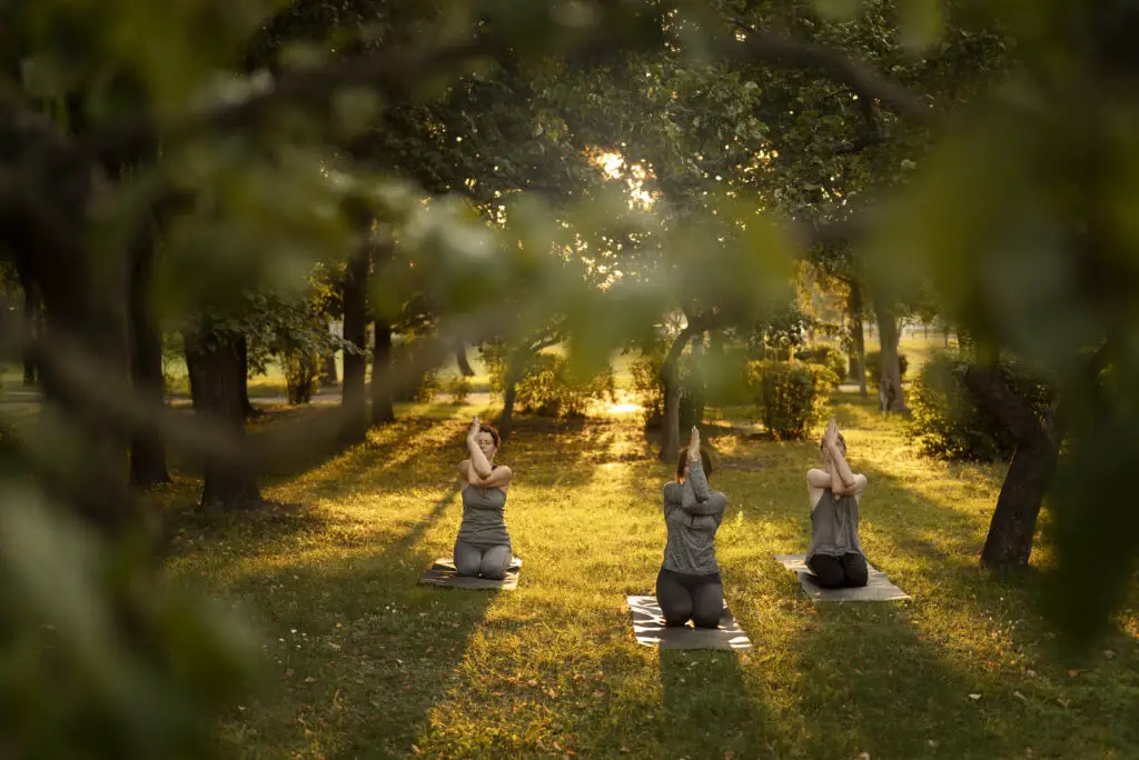 Bodhi Tree Yoga Resort and full-shot-women-meditating-nature
