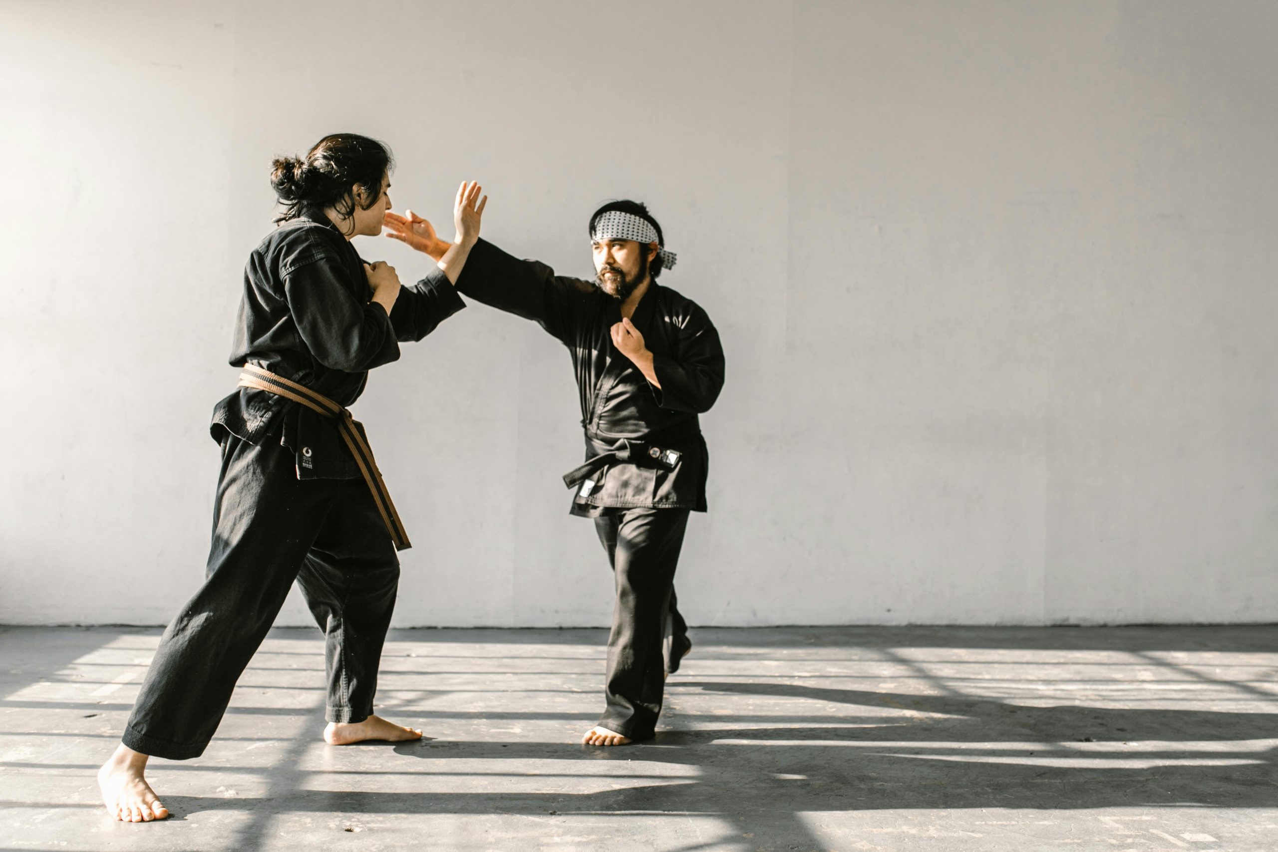 Self defense in martial arts